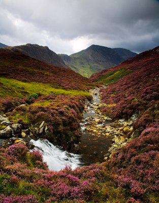 Warnscale Beck