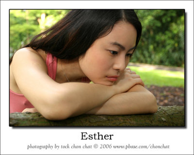 Esther 11