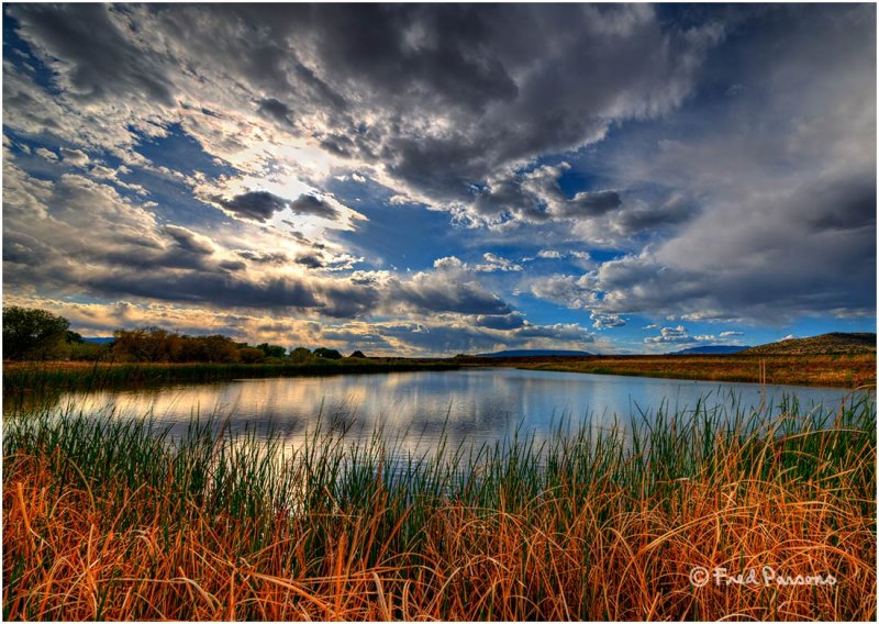 _DSC0638  Sedona Wetlands Project