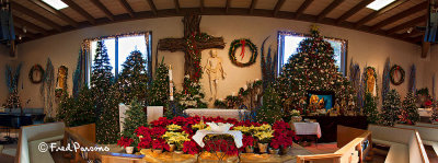 _MG_2879 Saint John Vianney Christmas Alter  2012