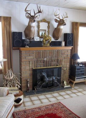 fireplace 2 20
