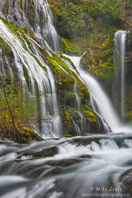 Panther creek falls 