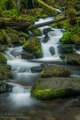 Stream near Metlako falls (Oregon)