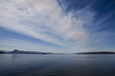 IMG_5289.jpg