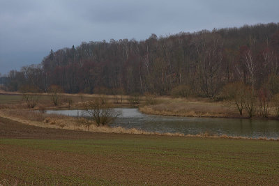Same old pond