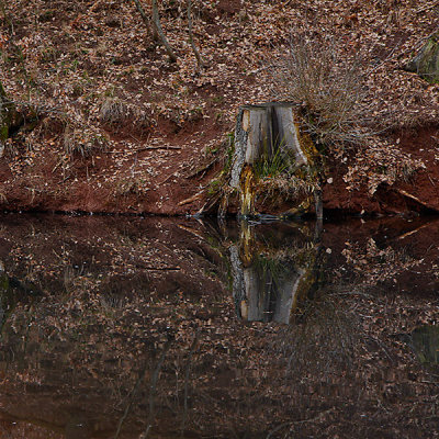 Reflection-traditional