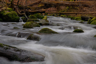 Tjute creek