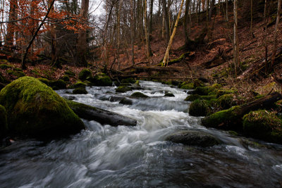 Tjute creek