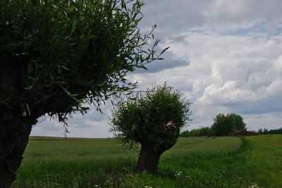 g2/00/739000/3/114067927.4VIQMgqf.jpg