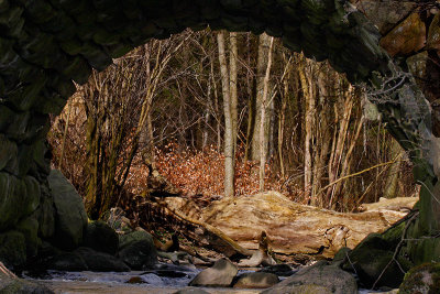 Stone bridge Tjute creek