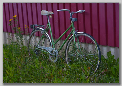 Green Bike