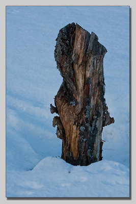 Sculpture in snow
