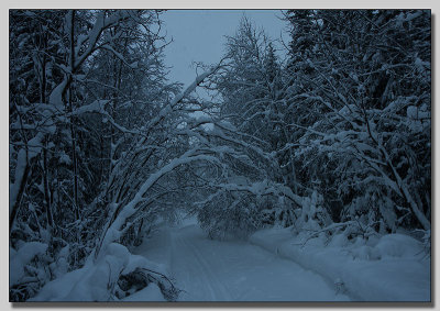 Loaded with snow