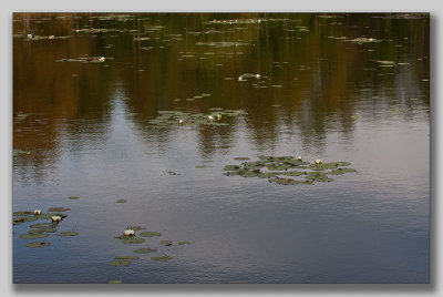 III-11602R.jpg