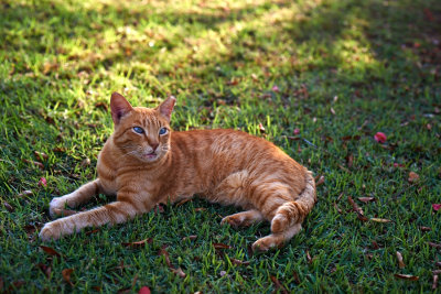 DSC_0108.jpg