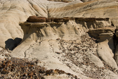 Alberta Badlands