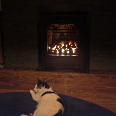 Have fire? Will have cat