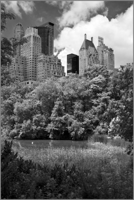 Central Park, NYC