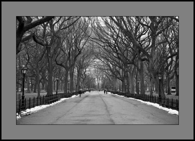 Central Park, New York City