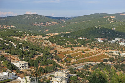 04_View from Ajloun Castle.jpg