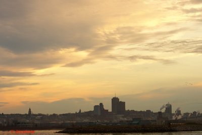 DSC09186.jpg