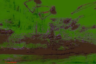 _DSC0327 CC.jpg