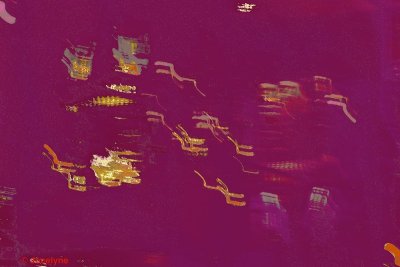 _DSC0240 CC.jpg