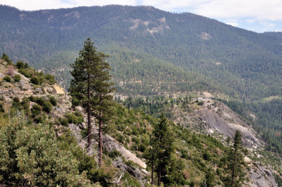 Fresno_Sierra Ntl. Forest