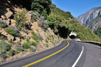 Yosemite Ntl Park