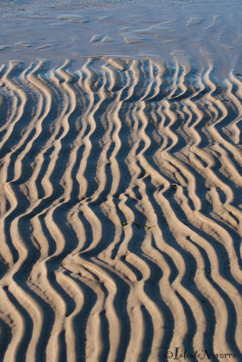 Noordsvaarder, strand