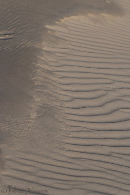 Noordsvaarder, Strand