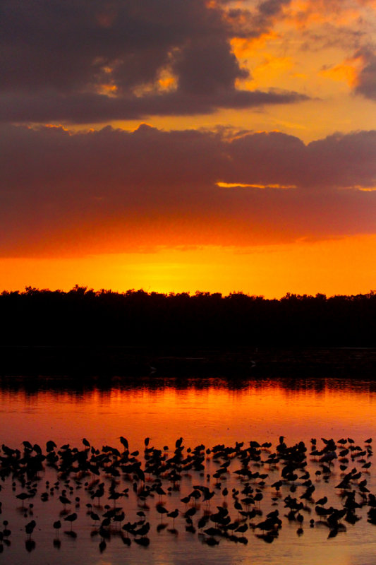 sanibel sunset 002