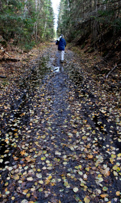 Hiking Mizzy Lake