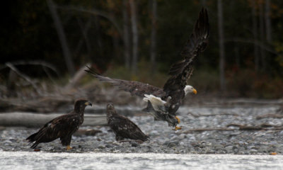 South East Alaska