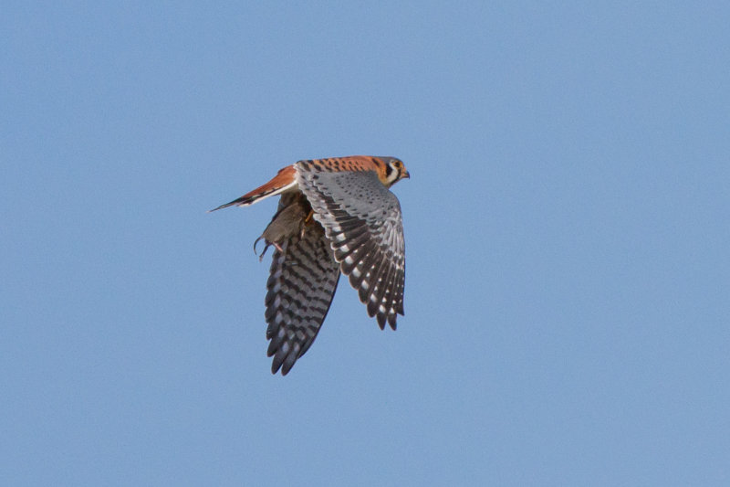 GPM20130217125749A.jpg