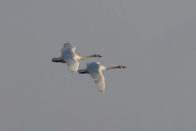 GPM20121229153933.jpg