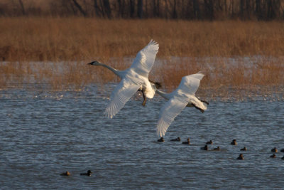 GPM20121229154837.jpg
