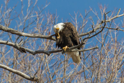 GPM20130106131903B.jpg