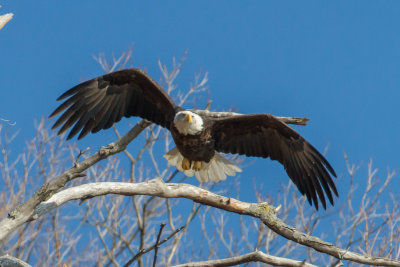 GPM20130106134323.jpg