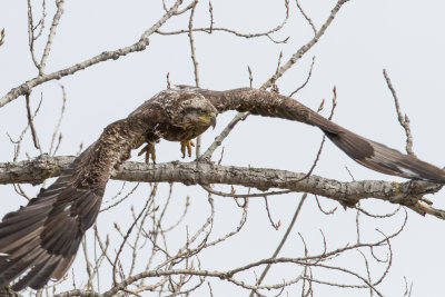 GPM20130120112128B.jpg