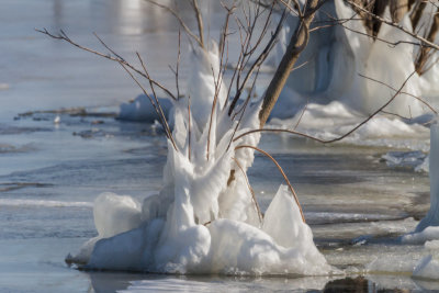 GPM20130126102514.jpg