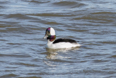 GPM20130202113939.jpg