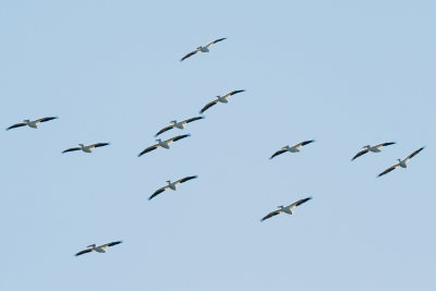 GPM20130202115645.jpg