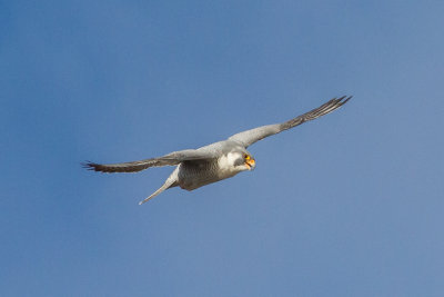 GPM20130302161647A.jpg