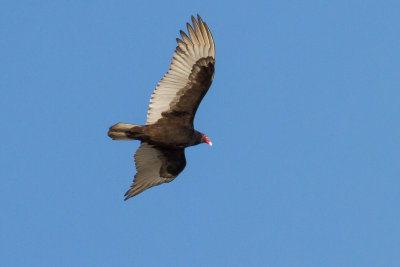 GPM20130302162144.jpg