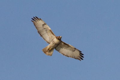 GPM20130309162344.jpg