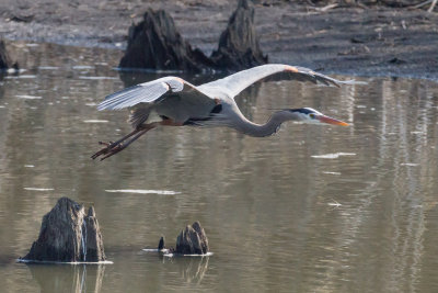 GPM20130329095320A.jpg