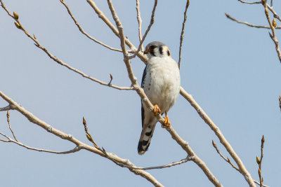 GPM20130329104421.jpg