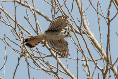GPM20130329104527.jpg