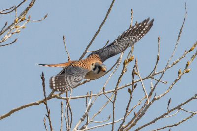 GPM20130329110325A.jpg
